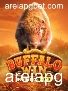 BuffaloWin: Uma Imersão no Mundo do Jogo de Aventura